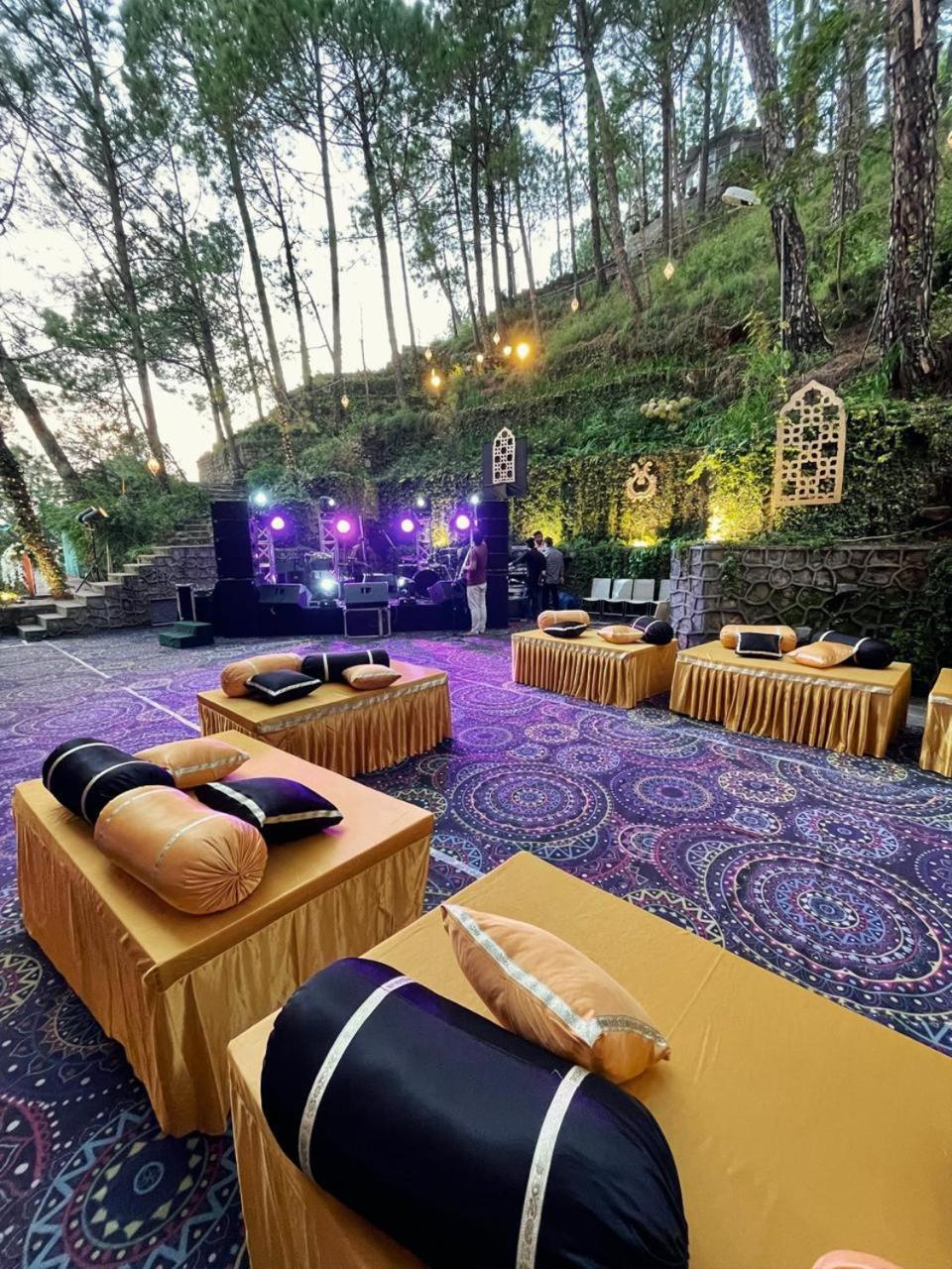 Nature View Resort !! A Four Star Lavish & Luxury Resort Chail Exterior photo